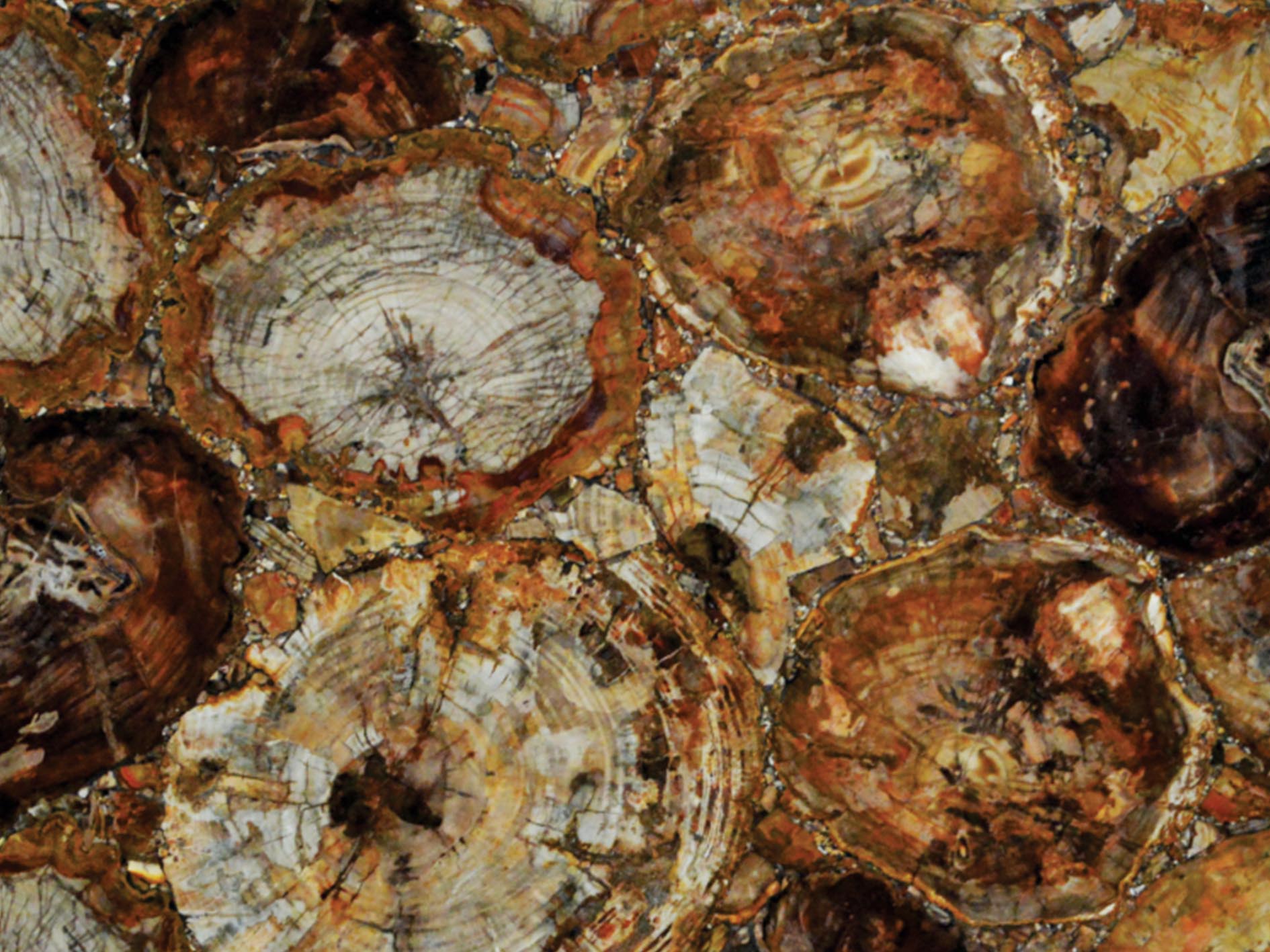 Buy Marbles Online Bejewel